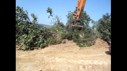 Събаряне на дървета с багер 
