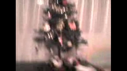 Mov00001.3gp