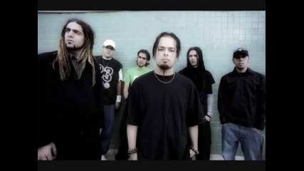 Afterfeedback - Nobody Else