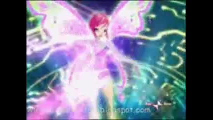 winx 101 