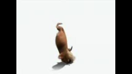 breakdance xoqr9uek