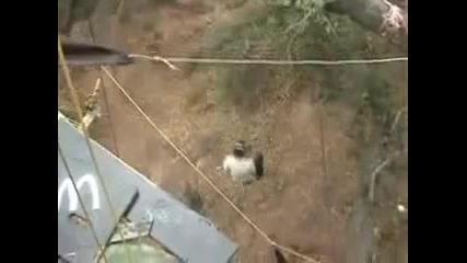 Здраво Забиване В Земята!