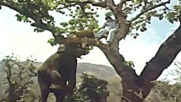 хинди филм 1976-2 бг суб.
