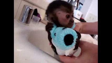 Бебче маймунка го къпят!