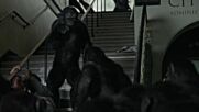 Dawn of the Planet of the Apes / Зората на планетата на маймуните (2014)