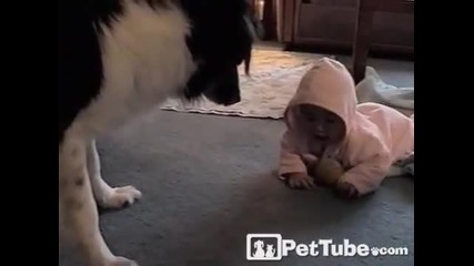 Куче учи бебе да играе с топка
