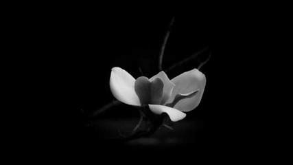 John Beltran - Flower Power Nuclear Submarine (original Mix)