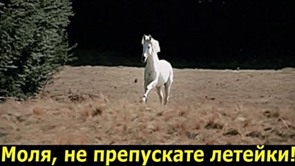 Капризни коне - Владимир Висоцки-караоке - Кони привередливые