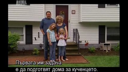 Dogs 101 - Puppies/ Кучета 101 - Малки кученца