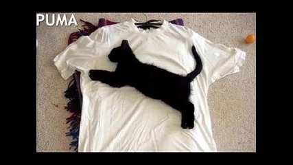 Смешни снимки