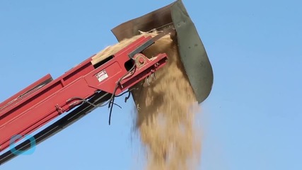 Drought Crisis Deepens, Almond Farmer Says : 'We Are Not the Villain'