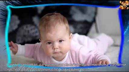 10 Неща, които не знаете за човешкото око