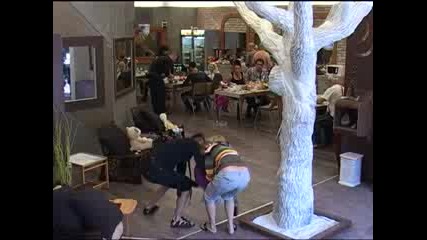 Big Brother Family Пчелно млечице