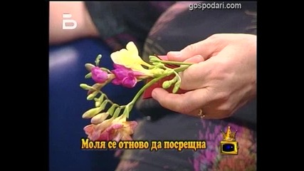 Сливата пред блока