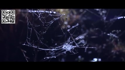 Rod Thomas - Grace Featuring Beth Hirsch