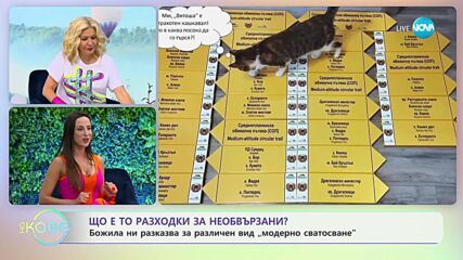 Какво е разходка за необвързани? - „На кафе” (12.07.2023)