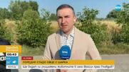 Огнища на шарка по овцете в няколко области в страната: Как се разпространява заразата