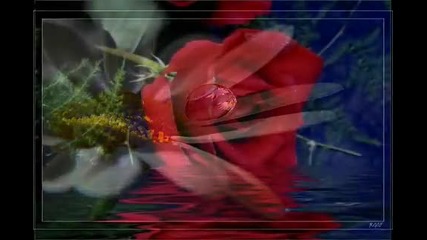 Красиви цветя