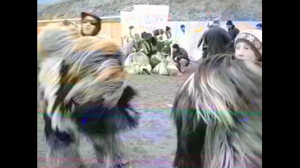 Berti & Tonkata
