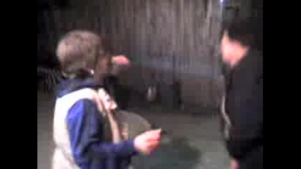 весето от кестен
