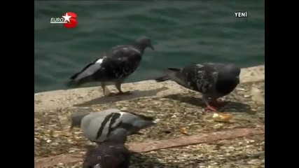 Ay Tutulmasi dizisi 1. Bolum 1. Kisim .flv