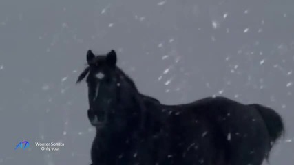 Winter Sonata ( Relaxing music violin and piano )