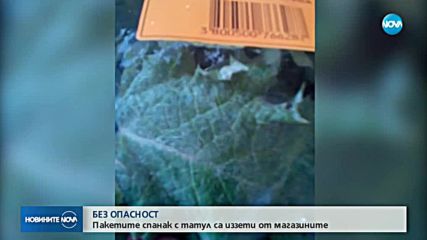Новините на NOVA (08.11.2018 - следобедна емисия)