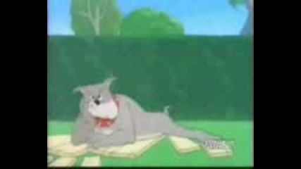 Tom & Jerry - The Dog House