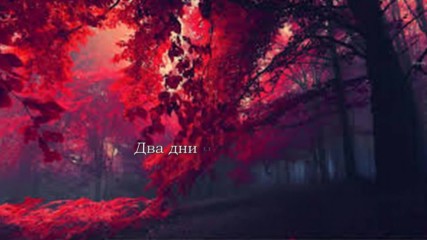 One day 13 ~ The End
