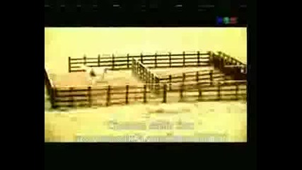 Entrada De La Tormenta De Telefe