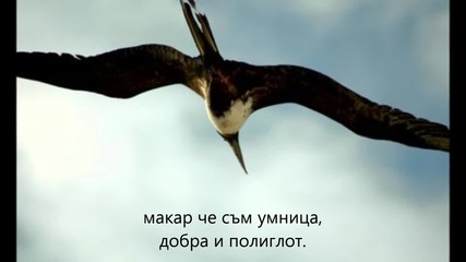 Shte doide vidov den