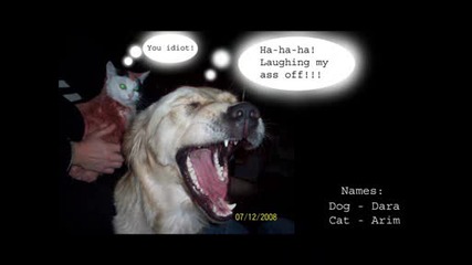 Aro I Dara - Funny Animals.wmv