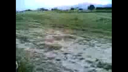 Димка 1