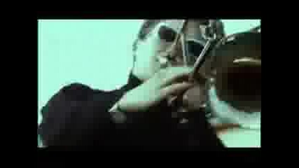 Blade Loki - Psy i koty