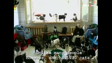 Жена живее със 130 котки 