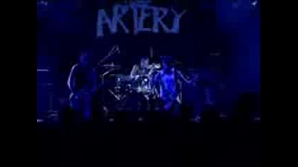 Artery-live Paradiso