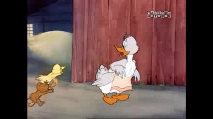 Tom&jerry - Little Quacker