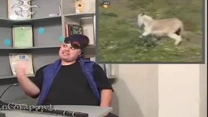 Video spodeliane