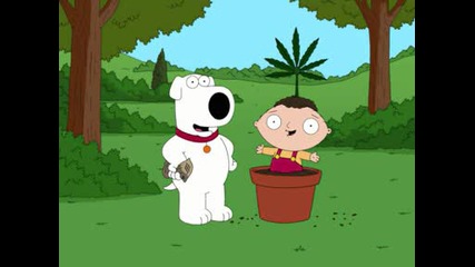 Family Guy - Bag of Weed