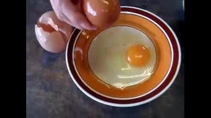 Най - странното яйце 