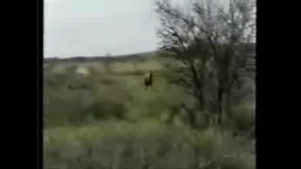 Funny Compilation