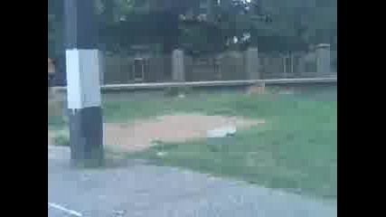 Side Flip
