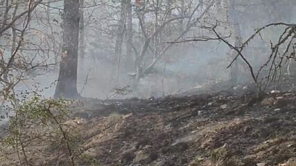 Пожар в района на село Кутугерци