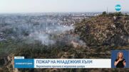 Пожар на най-високото тепе в Пловдив