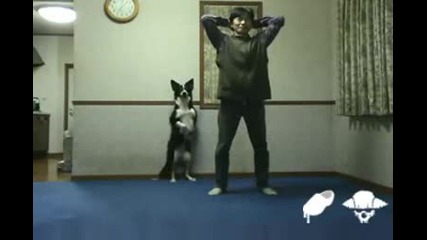 Куче тренира за отслабване