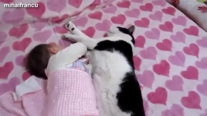 Котки и кучета спят с бебета