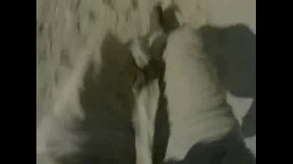 Какво виждат парашутистите