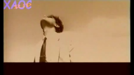 Rado Shisharkata - Beli ptici