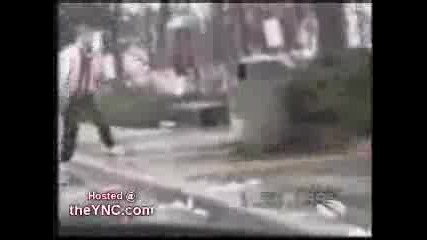 Funny Compilation
