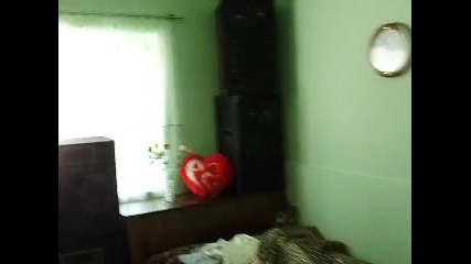 da ne mojesh da si 4uesh mislite 1 komarevo